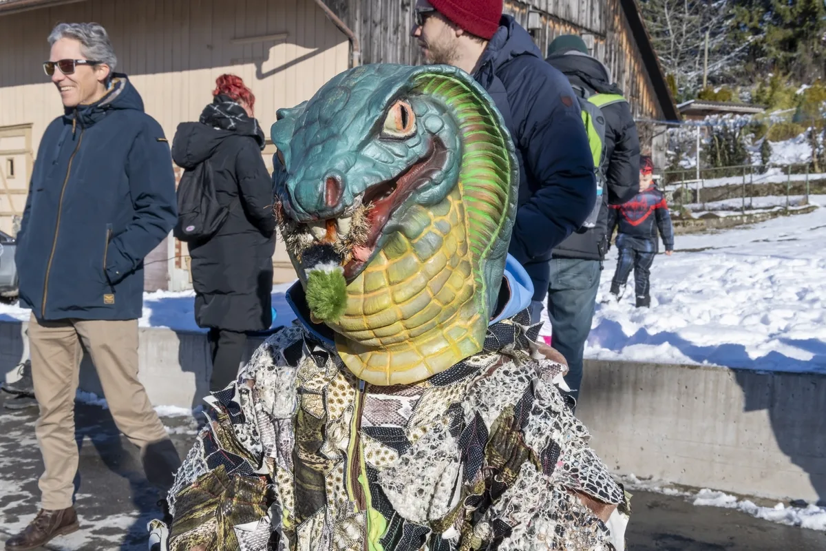 Die Kobra aus Uster wurde mit dem 3. Platz prämiert. Die Maske und das Kostüm ist selber gemacht. Die Kobra posiert für das Foto.